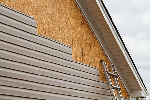 Professional Siding Repair technician working in Fairview, PA